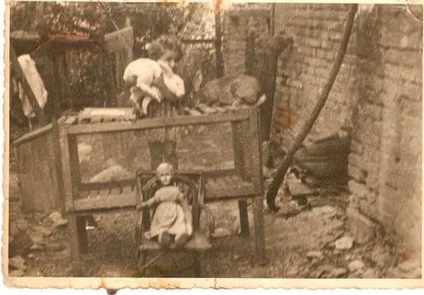 Picture