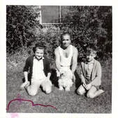 Image description